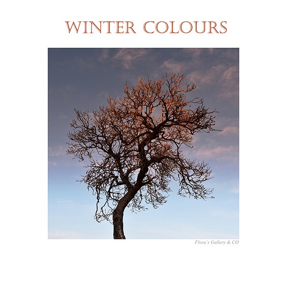 winter colours I    poster